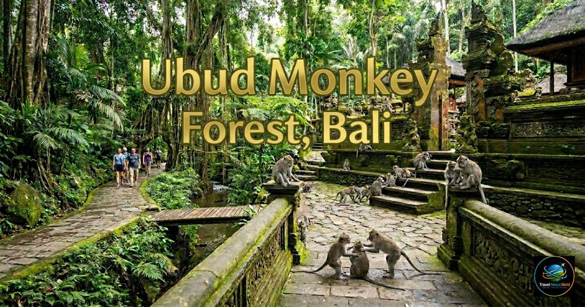 The Ultimate Ubud Monkey Forest Guide for Bali Tourists